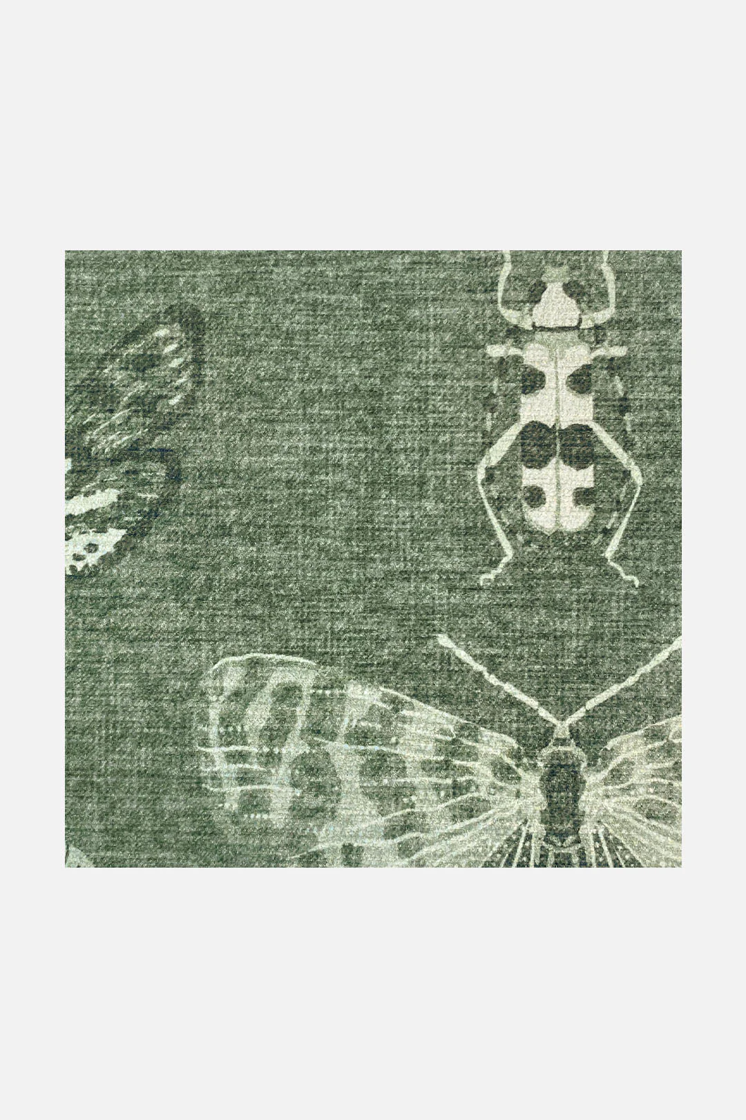 Vlinder Salie Vloerkleed - Image 3